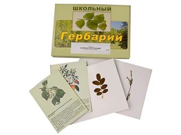 Гербарий "Деревья и кустарники" (22 вида, с иллюстрациями) - fgospostavki.ru - Чита