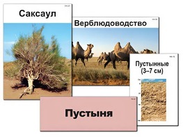 Модель-аппликация "Природные зоны России" (ламинированная) - fgospostavki.ru - Чита