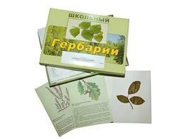 Гербарий "Дикорастущие растения" (30 видов, с иллюстрациями) - fgospostavki.ru - Чита