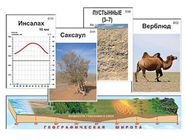 Модель-аппликация "Природные зоны" - fgospostavki.ru - Чита