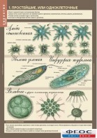 Комплект таблиц. Биология 7 класс. Животные. - fgospostavki.ru - Чита