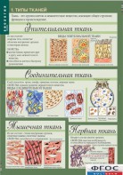 Комплект таблиц. Биология 8-9 класс. Человек. - fgospostavki.ru - Чита