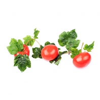 Ветка муляжей "Помидоры" - fgospostavki.ru - Чита