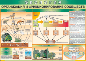 Таблица "Организация и функционирование сообществ" (100х140 сантиметров, винил) - fgospostavki.ru - Чита