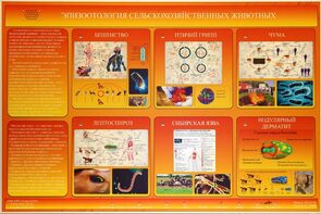 Электрифицированный стенд «Эпизоотология сельскохозяйственных животных» - fgospostavki.ru - Чита