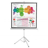 Экран на штативе DSKD-1104 - fgospostavki.ru - Чита