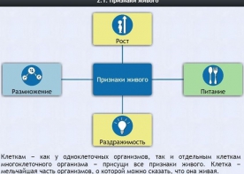 Интерактивные курсы. Биология 5 класс. Базовый - fgospostavki.ru - Чита