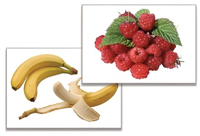 Дидактическое пособие "Фрукты, ягоды, орехи" (24 карточки) - fgospostavki.ru - Чита