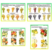 Плакаты ПРОФТЕХ "Ассортимент плодово-ягодных культур" (19 пл, винил, 70х100) - fgospostavki.ru - Чита