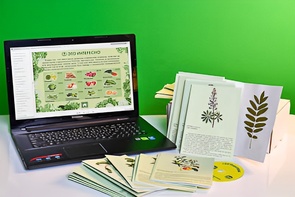 Гербарий натурально-интерактивный "Культурные растения" - fgospostavki.ru - Чита