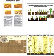 Плакаты ПРОФТЕХ "Агрономия" (5 пл, винил, 70х100) - fgospostavki.ru - Чита