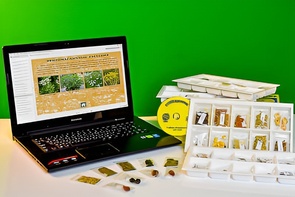 Коллекция натурально-интерактивная "Плоды сельскохозяйственных растений" - fgospostavki.ru - Чита