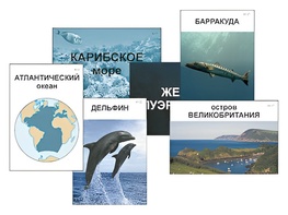 Модель-аппликация "Океаны. Знакомство" (ламинированная) - fgospostavki.ru - Чита