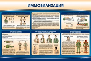 Стенд "Иммобилизация" - fgospostavki.ru - Чита