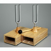 Камертоны на резонансных ящиках с молоточком - fgospostavki.ru - Чита