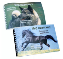 Пособие для слабовидящих - Домашние животные - fgospostavki.ru - Чита