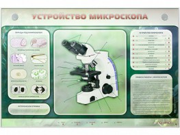 Электрифицированный стенд "Устройство микроскопа и правила работы c ним" - fgospostavki.ru - Чита