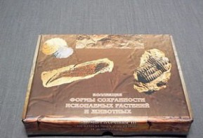 Коллекция "Формы сохранности ископаемых растений и животных" - fgospostavki.ru - Чита