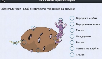 Интерактивные курсы. Биология 6 класс. Расширенный - fgospostavki.ru - Чита