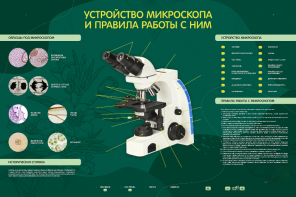 Электрифицированный стенд "Устройство микроскопа и правила работы c ним" - fgospostavki.ru - Чита