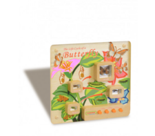 Панель «Жизненный цикл бабочки» - fgospostavki.ru - Чита