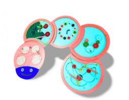 Тактильно-развивающая панель «Гусеница» - fgospostavki.ru - Чита