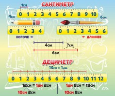 Стенд "Сантиметр" - fgospostavki.ru - Чита