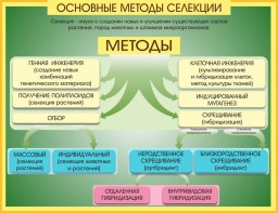 Стенд "Методы селекции и биотехнологии" - fgospostavki.ru - Чита