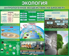 Стенд "Экология. Антропогенное воздействие на биосферу" - fgospostavki.ru - Чита