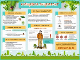 Стенд "Клещевой энцефалит" - fgospostavki.ru - Чита