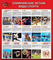 Стенд "Олимпийские летние виды спорта" - fgospostavki.ru - Чита