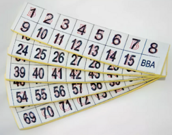 Фишки для игры «Бинго» со шрифтом Брайля - fgospostavki.ru - Чита