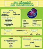 Стенд "От клетки до организма" - fgospostavki.ru - Чита