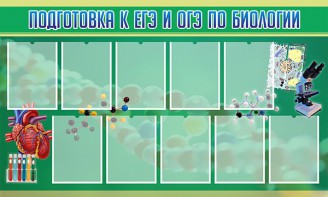Стенд "Подготовка к ЕГЭ и ОГЭ по биологии" Вариант 2 - fgospostavki.ru - Чита