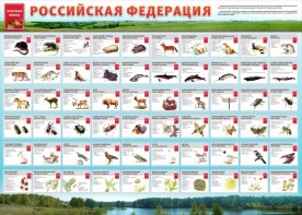 Стенд "Красная книга РФ" - fgospostavki.ru - Чита
