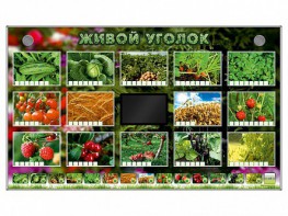 Комплект оборудования "Живой уголок" (растения) - fgospostavki.ru - Чита