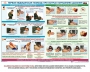 Комплект плакатов "Оказание первой доврачебной медицинской помощи" - fgospostavki.ru - Чита