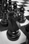 Напольные фигуры шахматные гигантские 61 - fgospostavki.ru - Чита