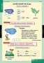 Комплект таблиц. Русский язык. Обучение грамоте 2 класс. - fgospostavki.ru - Чита