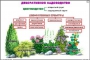 Комплект кодотранспарантов "Культурные растения" - fgospostavki.ru - Чита