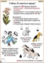 Комплект кодотранспарантов "Ядовитые растения" - fgospostavki.ru - Чита